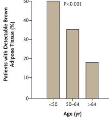 Diagram comparing a white fat cell and a brown fat cell