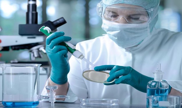 Laboratory scientist pipetting a sample into a culture dish