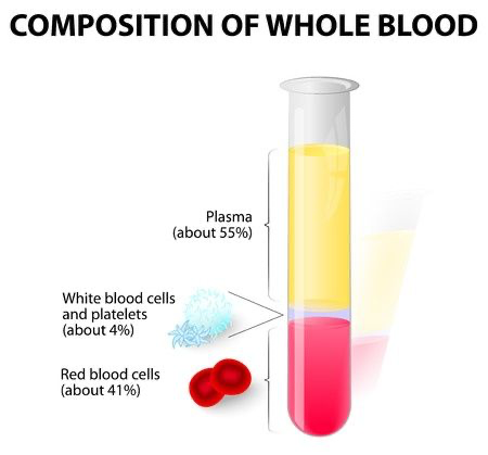Cord blood plasma separated from umbilical cord blood