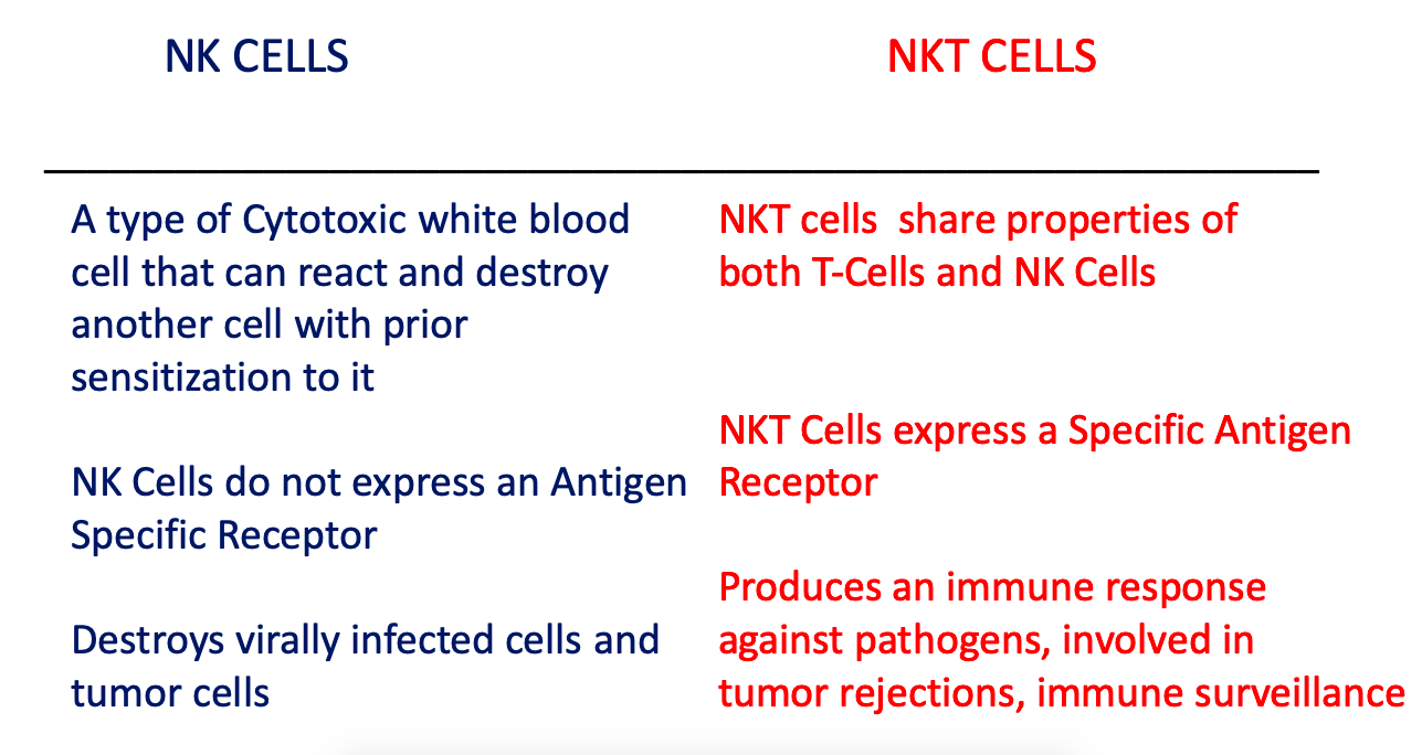 Natural killer cells